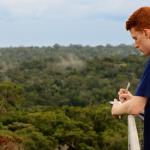 student sketching in a tower overlooking the rainforest